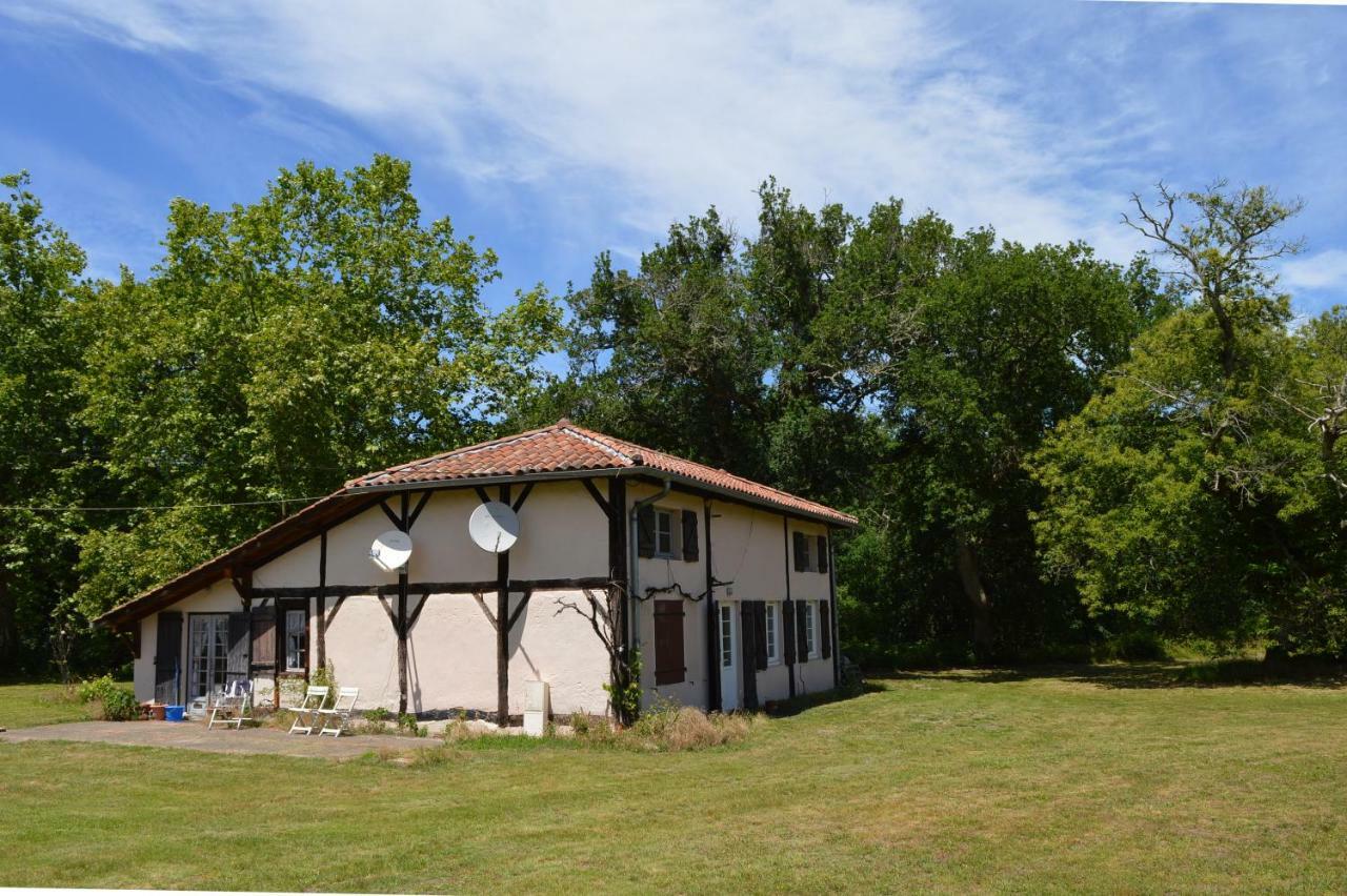 La Suite Du Bucheron Laharie Екстериор снимка